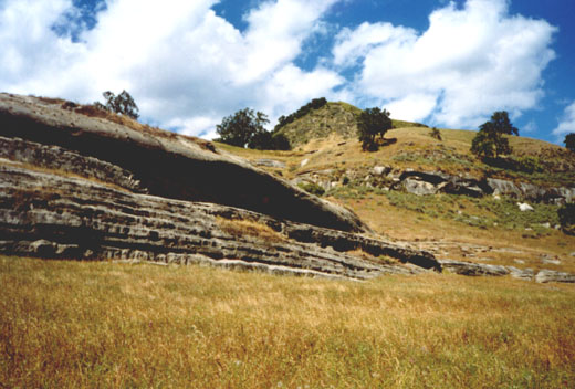 padres5.jpg (63395 bytes)