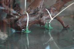 DSC_7496.JPG (289562 bytes)
