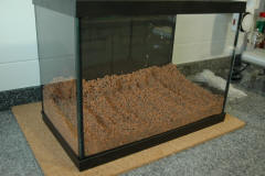 DSC_7709.JPG (291196 bytes)